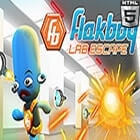 Flakboy