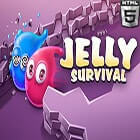 The Advent of Jellies